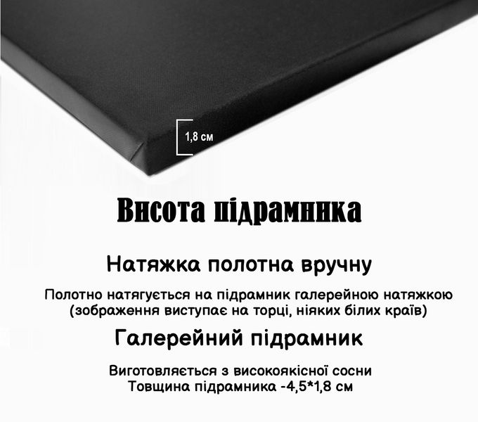 Картина на полотні постер мотиваційна Мухаммед Алі 1795-1 фото